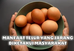 Manfaat Telur Yang Jarang Diketahui Masyarakat